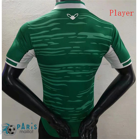 Thailande Maillot Foot Player Version Algérie Vert 2022 Personnalisés Pas Cher | MaillotParis