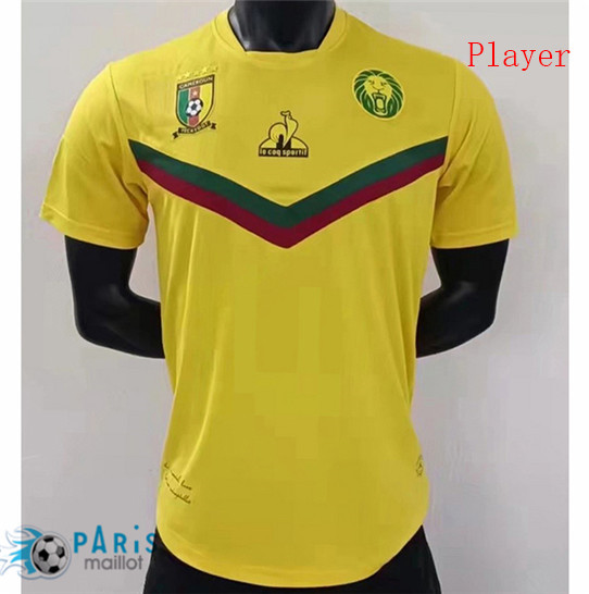 Maillotparis Thailande Maillot Foot Player Version Cameroun Exterieur 2021