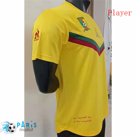 Thailande Maillot Foot Player Version Cameroun Exterieur 2021 Personnalisés Pas Cher | MaillotParis