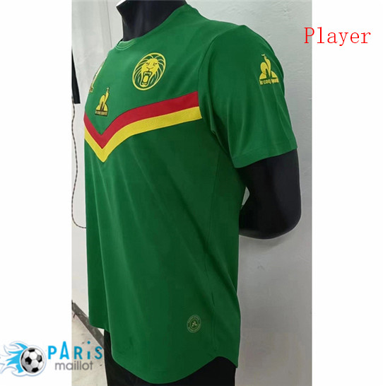Nouveau Maillot Foot Player Version Cameroun Domicile 2021 Personnalisés Pas Cher | MaillotParis