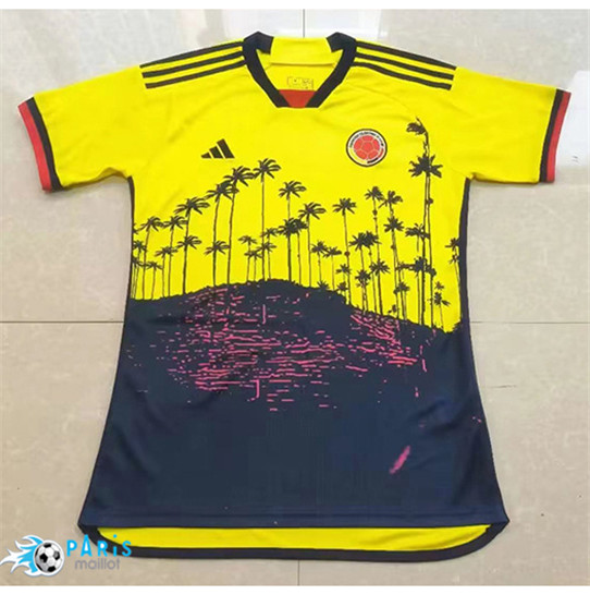 Site Maillot Foot Colombie Jaune 2023/24