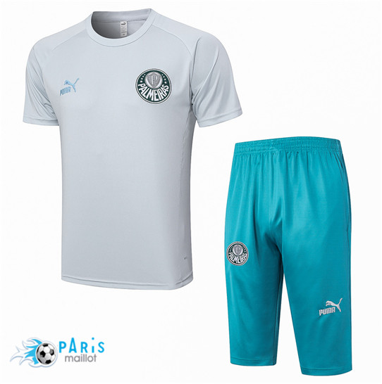 Maillotparis Prix Maillot Training Foot Palmeiras + Short 3/4 + Pantalon Gris 2023/24