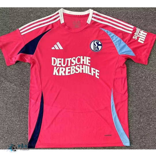 Marque Maillot Foot FC Schalke 04 Édition spéciale Rose 2024/25