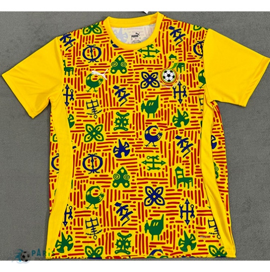 Achat Maillot Foot Ghana Training Jaune 2024/25