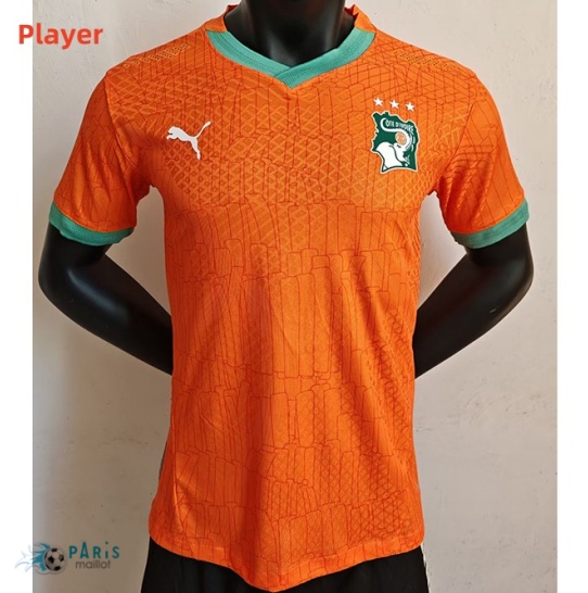 Achat Maillot Foot Player Version Côte d'Ivoire Domicile 2024/25