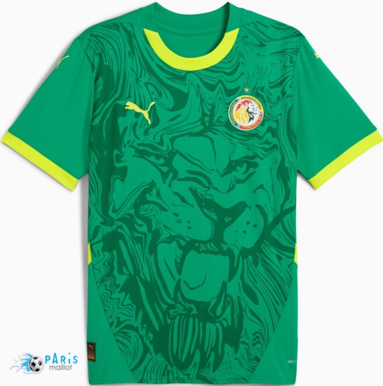 Acheter Maillot Foot Sénégal Exterieur 2024/25