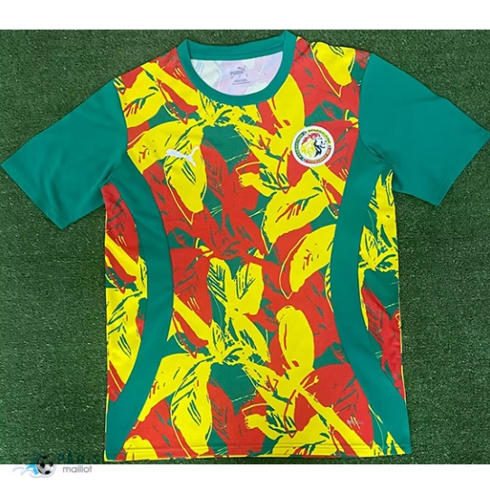 Nouveau Maillot Foot Sénégal Training 2024/25