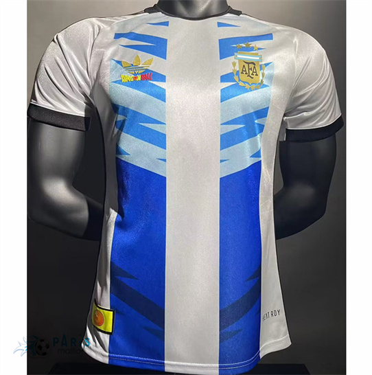 Maillot Foot Argentine Player spéciale 2024/25
