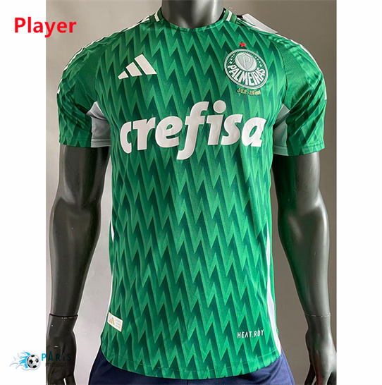 Maillot Foot Palmeiras Player spéciale Vert 2024/25