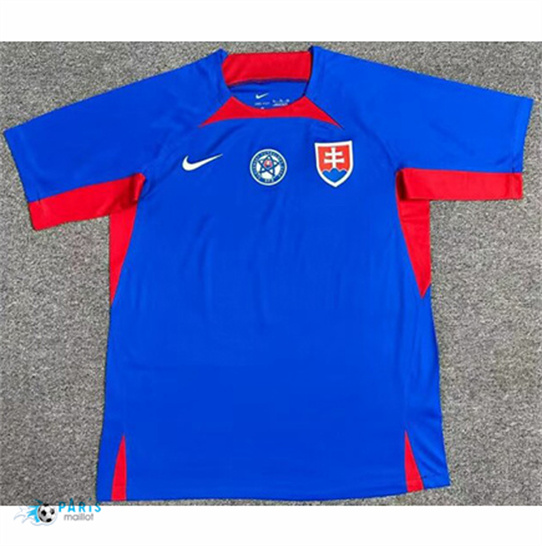 Maillot Foot Slovaquie Domicile 2024/25