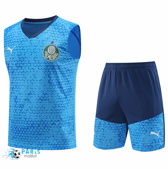 Prix Maillot Foot Palmeiras Debardeur + Short Bleu 2024/25