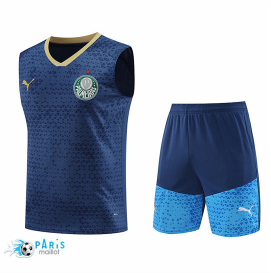 Site Maillot Foot Palmeiras Debardeur + Short Bleu 2024/25