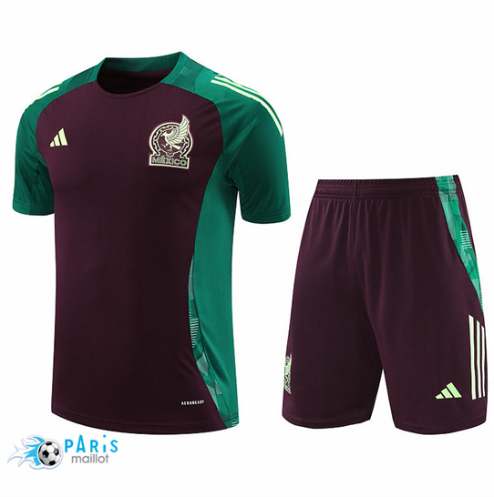 Nouveau Maillot Foot Mexique + Short Brun 2024/25