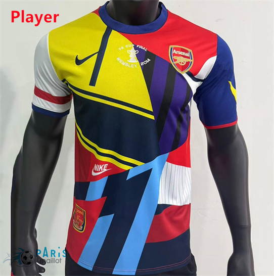 Maillotparis Soldes Maillot Foot Arsenal Player commémorer 2013