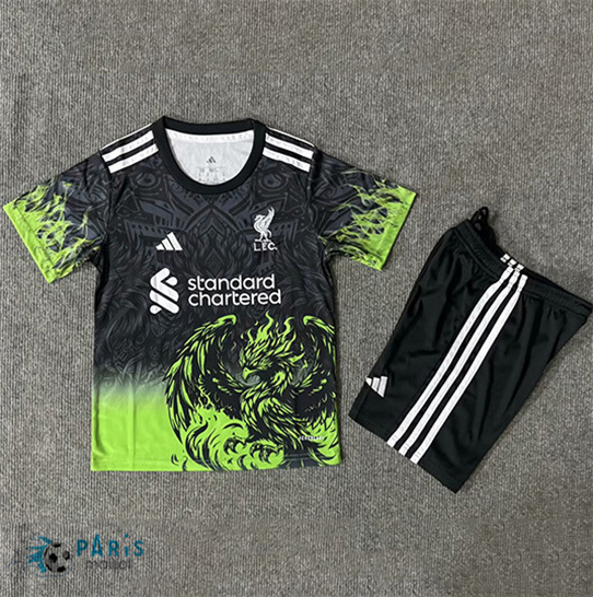 Maillotparis Acheter Maillot Foot Liverpool Enfant noir/Vert 2025/26