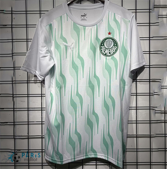 Maillotparis Site Maillot Foot Palmeiras Training 2025/26